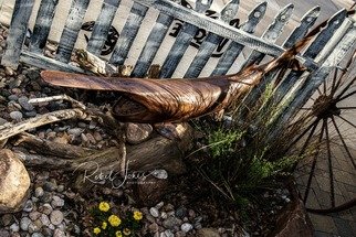 Robert Betsworth; The Prehistoric, 2019, Original Sculpture Steel, 77 x 36 inches. Artwork description: 241 The Prehistoric is a depiction of a spoonbillpaddlefish.  It was inspired by my many aEUR~snaggingaEURtm trips with my grandfather and friends over the years.  This artwork was created using a method called aEUR~spun steelaEURtman old blacksmithing technique where the metal strips are heated, formed and welded ...