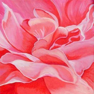Renee Rutana; Blush, 2006, Original Painting Acrylic, 18 x 18 inches. Artwork description: 241 This is a close up of a rose, has an abstract feel to it. The actual depth of the canvas is 1 3/ 8. * Thick gallery wrapped canvas with painting extending to the sides....