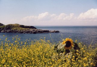 Ruth Zachary, 'Sunflower Summer', 2006, original Photography Color, 20 x 16  x 1 inches. Artwork description: 3099  Bright sunflower yellow, blue sea and sky.  What says summer more? ? ?  Monhegan Island, Maine.  11 x 14