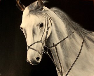 Piyush Pankaj; The Wind Rider, 2014, Original Painting Acrylic, 30 x 24 inches. Artwork description: 241  This Horse is made in Black and White and was hugely appreciated in the local art display in Houston. This is the original and exclusive piece made on canvas with 24x30 inch dimension.  ...