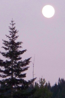 Debbi Chan, 'a FULL moon for sure', 2010, original Photography Color, 8 x 10  inches. Artwork description: 98535   photos from Idaho. ...