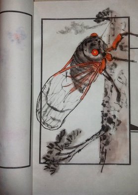 Debbi Chan, 'cicada  bug up close', 2016, original Artistic Book, 4 x 6  x 1 inches. Artwork description: 3099     This is a small album filled with insects . . .    ...