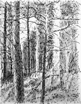 Keith Thrash; Goat Mountain, 1998, Original Printmaking Lithography, 9 x 12 inches. Artwork description: 241  Barbizon ( Harpignies) influenced, wooded hilltop west of Demopolis. ...