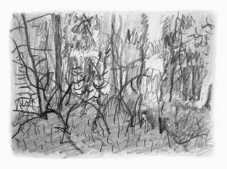 Keith Thrash; Woods, 1998, Original Drawing Pencil, 6 x 4 inches. Artwork description: 241  Pencil drawing of a wooded hilltop. ...