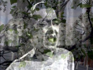 Stephen Mead, 'Billie Reflecting Excerpt', 2009, original Mixed Media, 20 x 16  x 1 inches. Artwork description: 1911 PRINT ONLY.  Billie ReflectingExcerpt is a photomerge film still from a film which can be seen in on YouTube.  It is part of a series of collage- films begun in 2007.  The work is available as a print. ...