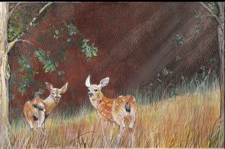 Terri Flowers; Lil Deer In Sun, 2007, Original Painting Acrylic, 12 x 9 inches. Artwork description: 241   Little deer playing in field and sunshine  ...