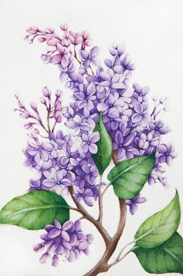 Tatiana Azarchik; Lilac, 2015, Original Watercolor, 99 x 147 mm. Artwork description: 241 Lilac branch.  In the language of flowers, purple lilacs are the symbol of first love.  I used coloured pencils and watercolor.  All of my works are painted on the watercolor paper. ...