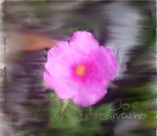 Jose Carvalho; PaperFlower, 2014, Original Digital Drawing, 8.5 x 11 inches. Artwork description: 241  Pink paper flower     ...