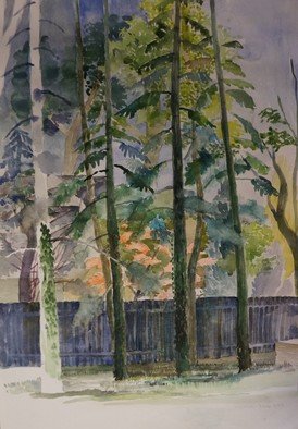 Walter King; Beccas Backyard, 2019, Original Watercolor, 15 x 21 inches. Artwork description: 241 Treeline at the end of my Step daughters back yard in Wash DC. ...