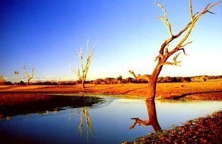 Wayne Quilliam, 'Australian Outback', 2001, original Photography Color,    inches. Artwork description: 1758 Aboriginal Desert Watering Hole...