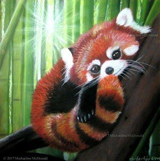 Michaeline Mcdonald; Red Panda, 2016, Original Pastel, 12 x 12 inches. Artwork description: 241 Original pastel painting of a cute little red panda in a bamboo tree with sun filtering through the trees behind him. ...