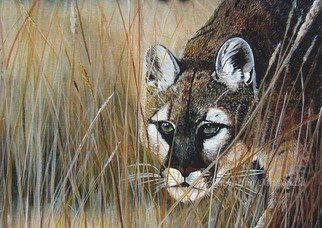 Michaeline Mcdonald; The Stalker, 2001, Original Painting Acrylic, 20 x 16 inches. Artwork description: 241 Acrylic on canvas painting of a cougar stalking through tall grass. ...
