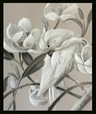 Marsha Bowers, 'Parrot With Magnolia Sketch', 2017, original Drawing Graphite, 9.4 x 11  inches. Artwork description: 1911 Sketch on tone paper- Bird art, sketch, graphite sketch, magnolias...