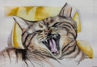 Zoraida Haibi Figuera; Pappo, 2022, Original Watercolor, 18 x 12 inches. Artwork description: 241 Pappo, the cat painted using watercolor washes and coloursoft pencils on drawing paper...