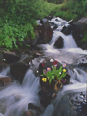 Steve Tohari; Bouquet 1, 2018, Original Photography Color, 16 x 20 inches. Artwork description: 241 Wildflowers, cascades above Montezuma, Colorado. Flowers grew naturally on rock. Colorado, wildflowers, stream, cascades, rushing water...