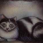 Freehand Airbrushed Cat Nr One By Can Yucel