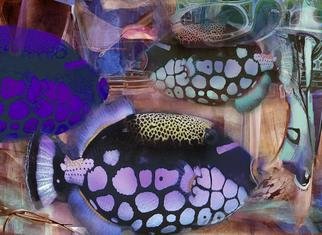 Airton Sobreira: 'Three Marines Fishes', 2013 Digital Art, Fish.                 original digigraph artist proof signed by airton sobreira on canvas or paper.available in several sizes.                ...
