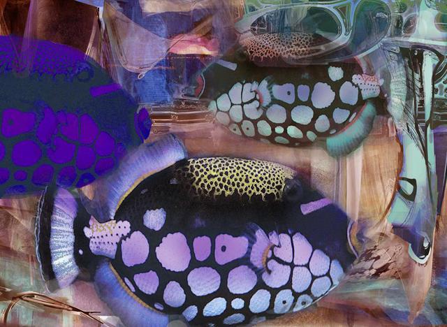 Artist Airton Sobreira. 'Three Marines Fishes' Artwork Image, Created in 2013, Original Digital Painting. #art #artist