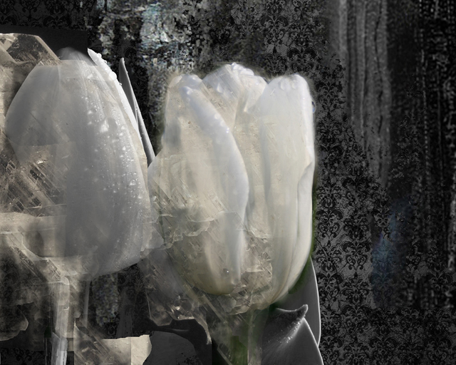 Artist Airton Sobreira. 'Tulips' Artwork Image, Created in 2012, Original Digital Painting. #art #artist