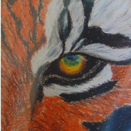 Alina Savko: 'the eye', 2018 Oil Pastel, Animals. Artist Description: Oil pastels on sugar paper. It is a painting of tiger s eye. ...