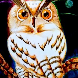 Aaron Mallery: 'night watchman', 2020 Pencil Drawing, Animals. Artist Description: Illustration representing the beauty of an owl on night patrol. ...