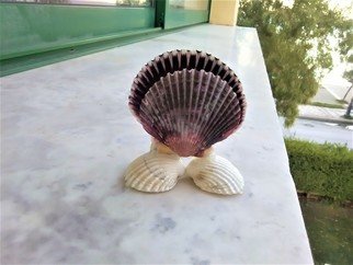 Anastasia Pourliotou: 'Composition of 4 kinds shells', 2019 Crafts, . Handmade composition of 4 different kinds seashells, Acanthocardia TuberculataPrawn , Pecten JacobaeusSt James s Scallop 021My personal construction in 2019.You have the opportunity to admire and use daily, a handmade creation, with materials from the sea.  Photographed indicative give your ideas.Designed to have it on a tablewith protective drops ...