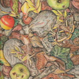 Andree Lisette Herz: 'fall leaves 2', 2002 Pencil Drawing, nature. Artist Description: colored pencil of forest floor...