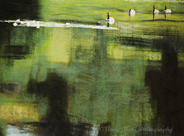 Andy Mars  'Geese On Pond', created in 2007, Original Mixed Media.