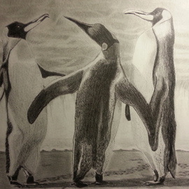 Mardas Angelo Artwork penguins, 2014 Charcoal Drawing, Animals