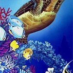 Flight of the Sea Turtle By Environmental Artist Apollo