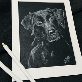 Shubham Patil: 'More Than Words', 2017 Pencil Drawing, Animals. Artist Description: Cute dog framed sketch with white coloured pencol on high quality black canvas paper, sprayed with transparent protective coating and framed in white frame....