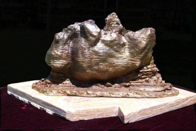 Stephanie Grimes  'Buffalo Butte', created in 2005, Original Sculpture Bronze.