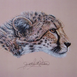 Judith Smith Wilson: 'Duma the Cheetah', 2002 Watercolor, Wildlife. Artist Description:  Elegant Cheetah head profile. Only 8xl0 double matted print available, $35. 00...