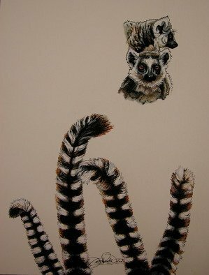 Judith Smith Wilson: 'Heads or Tails', 2009 Watercolor, Animals.  Lemurs - Open Edition Prints available for $35. 00. Original l200. 00 ...