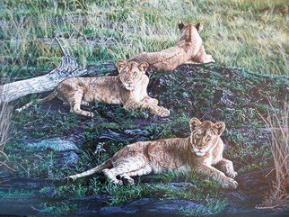 Judith Smith Wilson: 'Just Lion Around', 2010 Watercolor, Wildlife.  Painting done from original photograph taken by the artist on trip to Kenya, East Africa.  Three young lions laying on a mound. ...