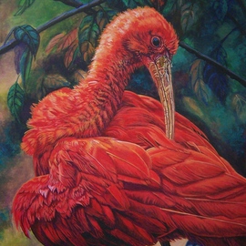 Judith Smith Wilson: 'The Red Ibis', 2001 Watercolor, Wildlife. Artist Description:  Red Ibis Resting. Original $l, 500. 00  Open Edition Prints  $45. 00 ...