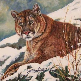 Judith Smith Wilson: 'Winter in Montana', 1998 Watercolor, Wildlife. Artist Description:  Young cougar enjoying the winter snow. Original Painting $l, 300. 00  Open Edition Prints.  $35. 00...