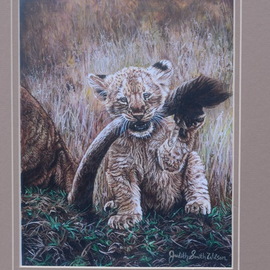 Judith Smith Wilson: 'tail hook', 2017 Watercolor, Wildlife. Artist Description: Baby lion with mom s tail in it s mouth, matted ready to be framed. ...