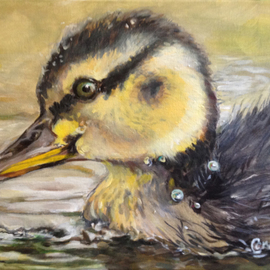 Sue Conditt: 'Golden Duckling', 2014 Acrylic Painting, Animals. Artist Description:  Baby animals, water fowl, ducks, duckling swimming     ...