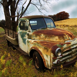 Tammy Gatten: 'Left Out', 2008 Other Photography, Automotive. Artist Description:  A vintage pickup left out in a field in the midwestern state of Oklahoma. The rust and the field complimented each other both having done their share of work in days past. ...