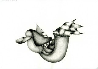 Juergen W.d. Stieler: 'Saddled Snail', 1998 Pencil Drawing, Abstract. 