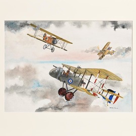 World War One Fighter Planes, Rhoda Taylor