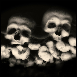 Augusto De Luca: 'skull 4 - by augusto de luca', 2017 Black and White Photograph, Death. 
