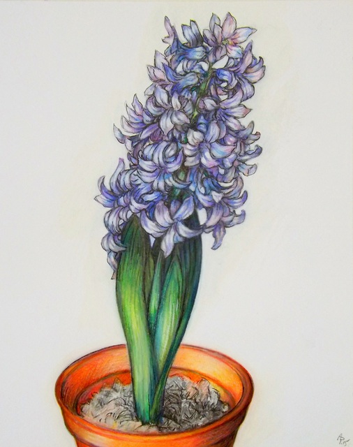 Artist Austen Pinkerton. 'Hyacinth' Artwork Image, Created in 2015, Original Painting Ink. #art #artist