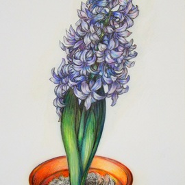 Austen Pinkerton Artwork Hyacinth, 2015 Crayon Drawing, Nature
