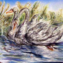 Swans, Austen Pinkerton