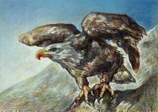 Austen Pinkerton: 'eagle', 2019 Pastel Drawing, Animals. 