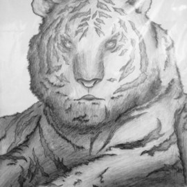 Bilal Albar Bayyanullaah: 'lonely tiger', 2018 Pencil Drawing, Animals. Artist Description: Sketch drawing...