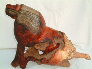 Boniface Chikwenhere: 'alpha lion', 2011 Woodcut, Animals.  lion sculpture in abstract, handmade from fossilized wood. One of a kind artwork that can not be copied or reproduced.  ...