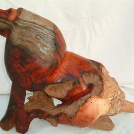 Boniface Chikwenhere: 'alpha lion', 2011 Woodcut, Animals. Artist Description:  lion sculpture in abstract, handmade from fossilized wood. One of a kind artwork that can not be copied or reproduced.  ...